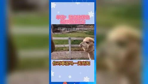 娱乐吃瓜2022